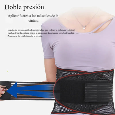 Faja lumbar Ergo 1.0® - imagen 6